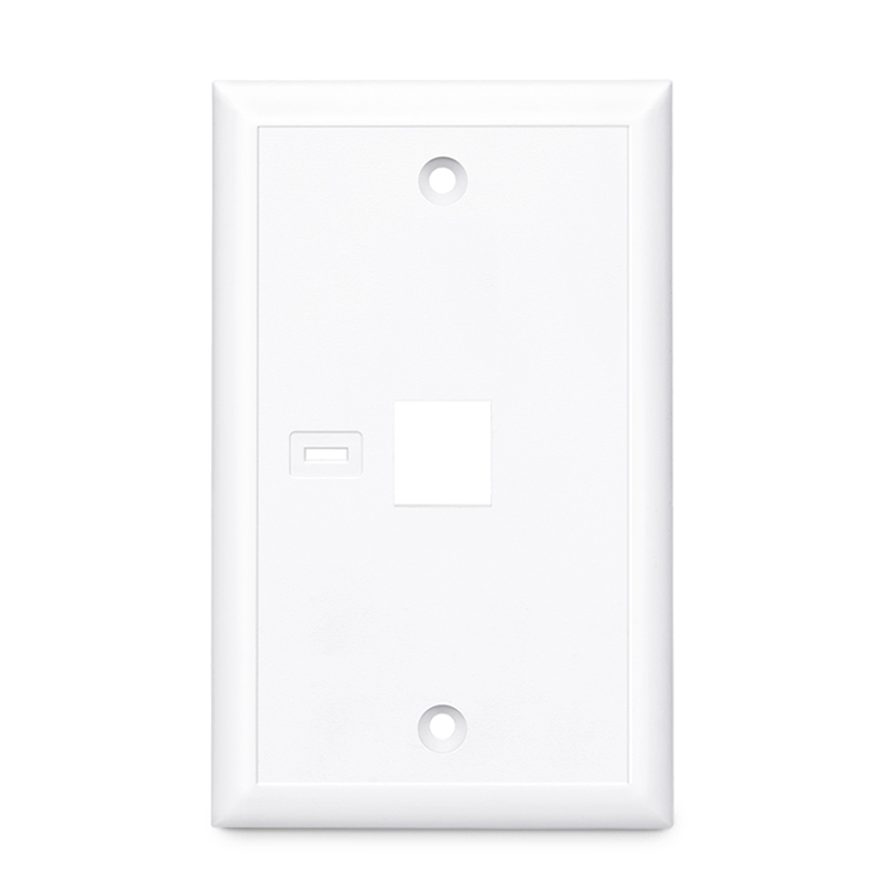 Single Gang Keystone Faceplate, Identification Icons