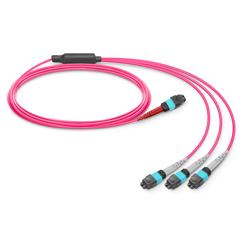 MTP-24 to 3 x MTP-8 UPC Breakout Cable, 24 Fibers, OM4, Type B, 1m (3ft)