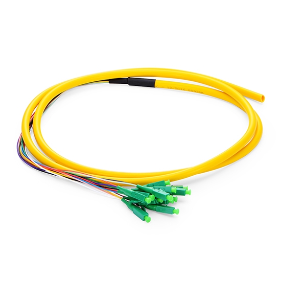 LC APC to Unterminated Fiber Pigtail, 12 Fibers, Bunch, OS2, 0.9mm, 1.5m (5ft)