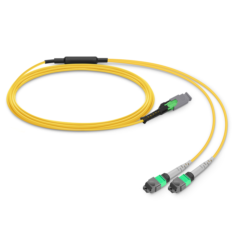 MMC-16 to 2 x MTP-8 APC Breakout Cable, 16 Fibers, OS2, Harness Polarity, 1m (3ft)