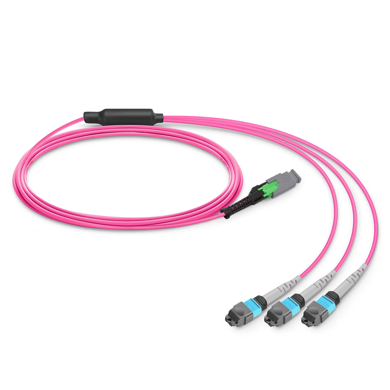MMC-24 APC to 3 x MTP-8 UPC Breakout Cable, 24 Fibers, OM4, Harness Polarity, 1m (3ft)