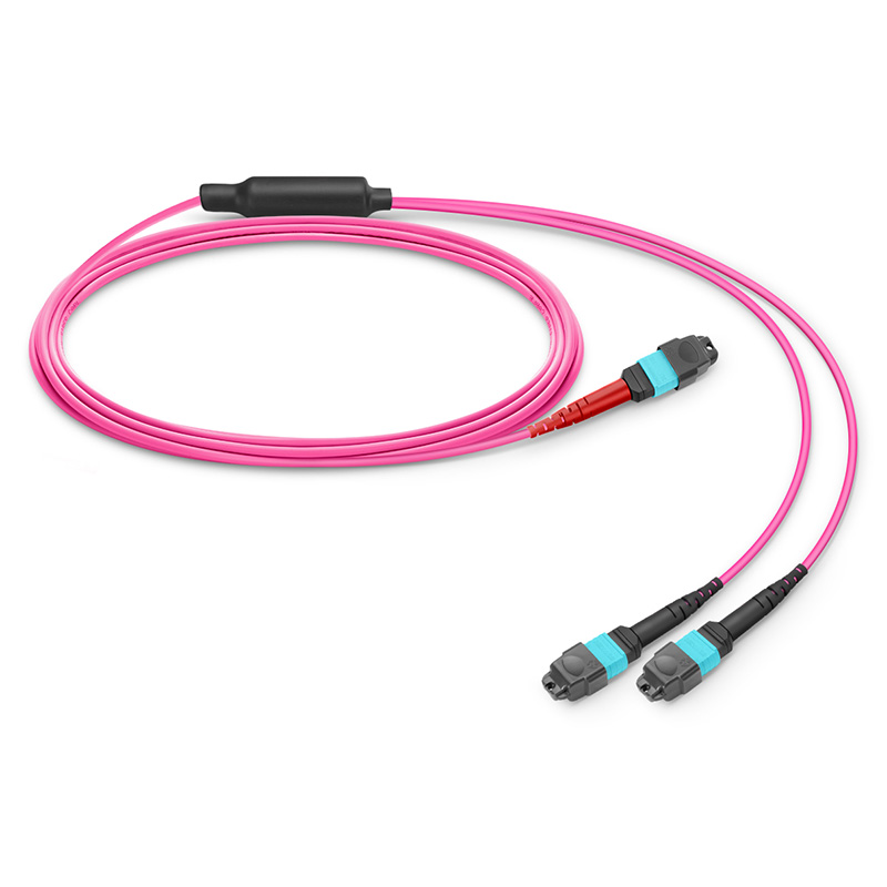 MTP-24 to 2 x MTP-12 UPC Breakout Cable, 24 Fibers, OM4, Type A, 1m (3ft)