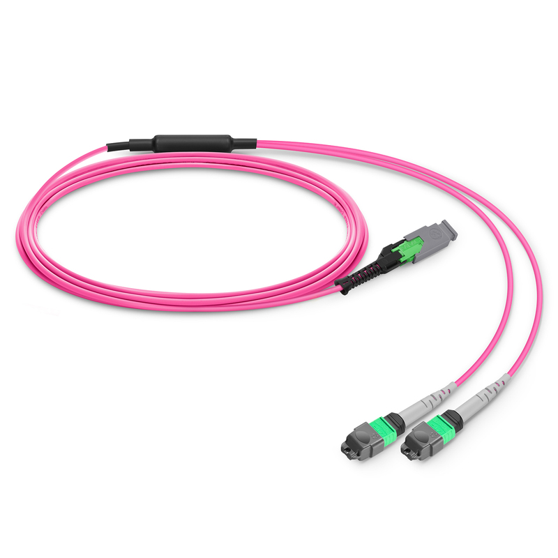 MMC-16 to 2 x MTP-8 APC Breakout Cable, 16 Fibers, OM4, Harness Polarity, 1m (3ft)