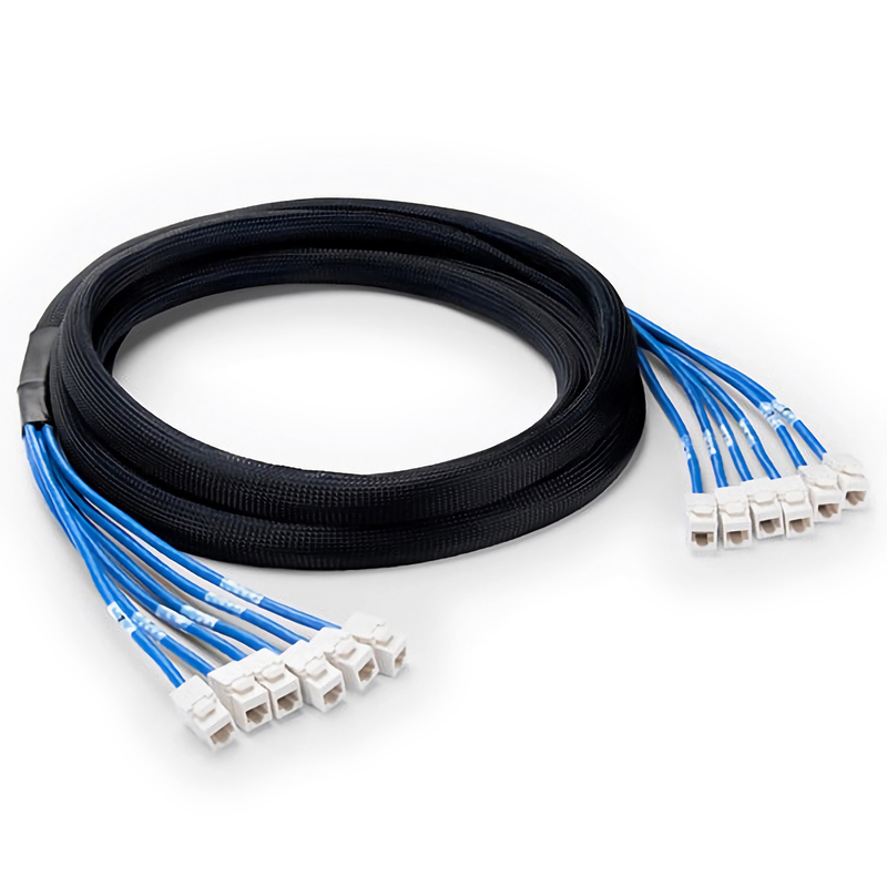 Cat6 UTP CMR Pre-Terminated Copper Trunk, 6 × RJ45 F/F, 10ft (3m)