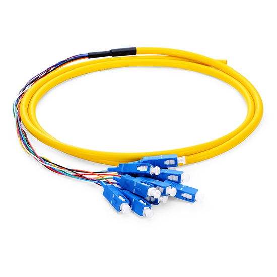 SC UPC to Unterminated Fiber Pigtail, 12 Fibers, Bunch, OS2, 0.9mm, 1.5m (5ft)