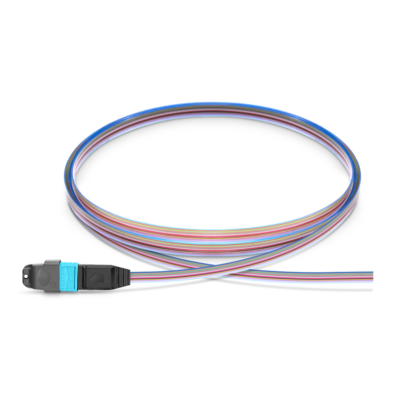 MTP-12 UPC to Unterminated Fiber Pigtail, Female, 12 Fibers, OM4, 1m (3ft)