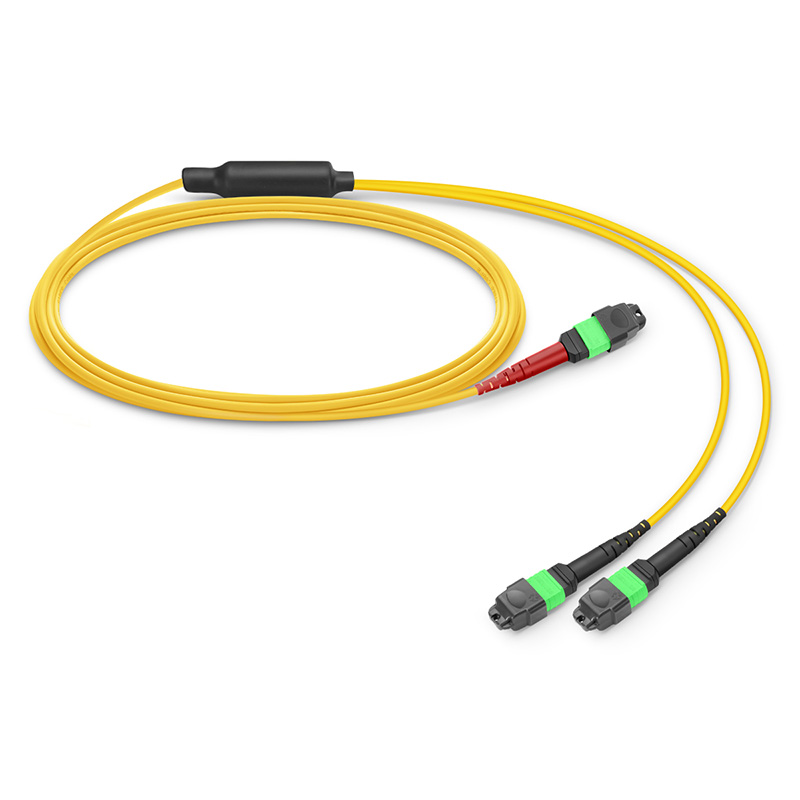 MTP-24 to 2 x MTP-12 APC Breakout Cable, 24 Fibers, OS2, Type A, 1m (3ft)
