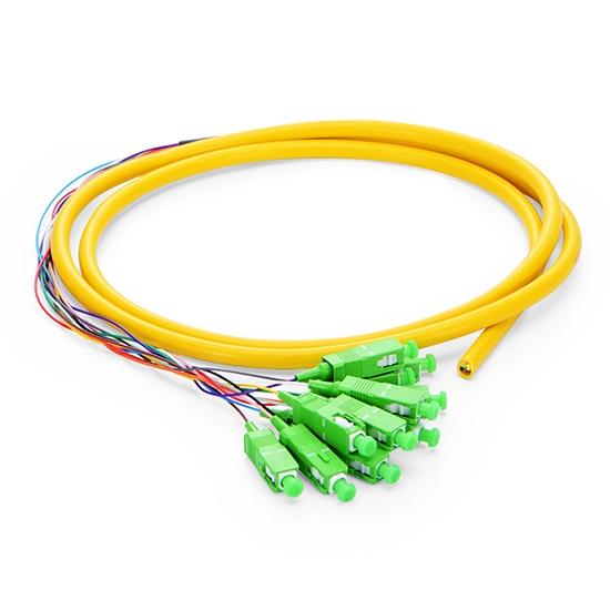 SC APC to Unterminated Fiber Pigtail, 12 Fibers, Bunch, OS2, 0.9mm, 1.5m (5ft)