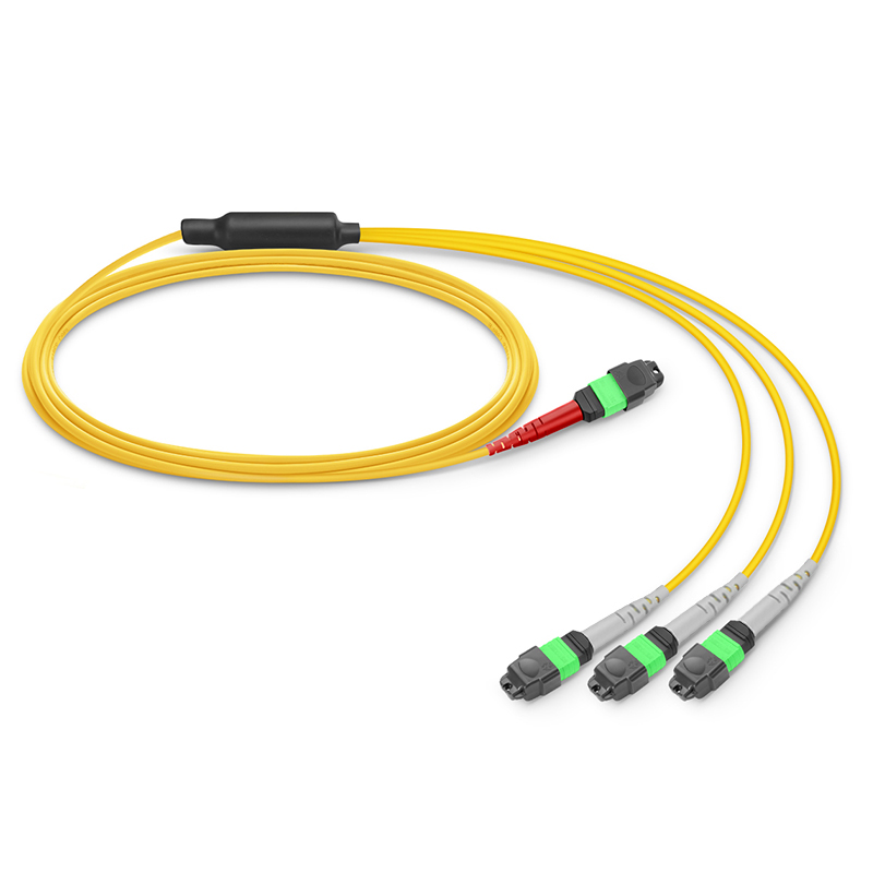 MTP-24 to 3 x MTP-8 APC Breakout Cable, 24 Fibers, OS2, Type B, 1m (3ft)