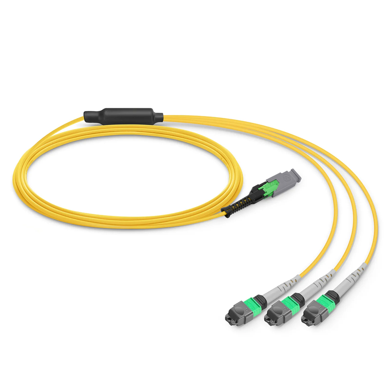 MMC-24 to 3 x MTP-8 APC Breakout Cable, 24 Fibers, OS2, Harness Polarity, 1m (3ft)